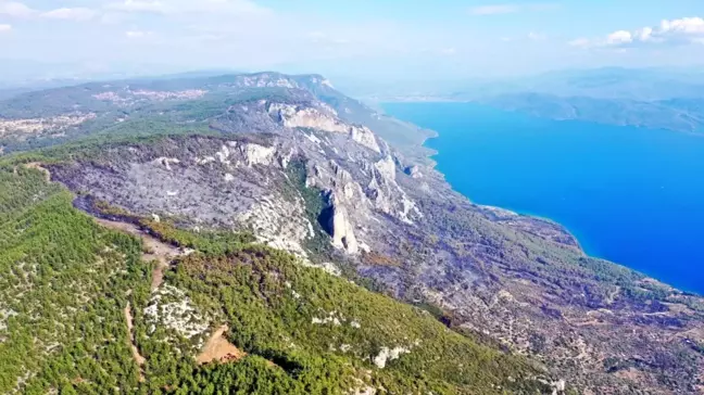 Muğla Menteşe Orman Yangını 4. Gününde Kontrol Altına Alındı