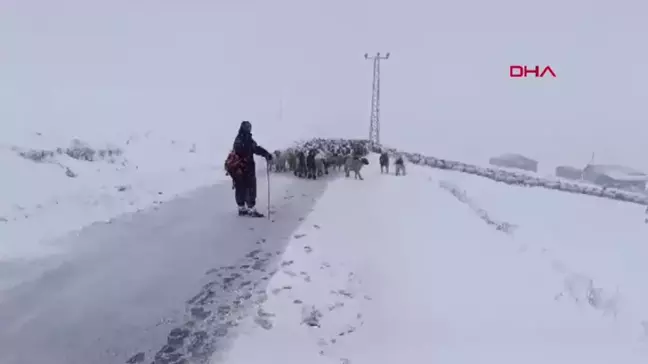 Trabzon'da Yoğun Kar Yağışı, Çoban ve Koyunlarını Mahsur Bıraktı