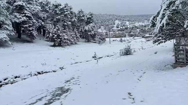 Sivas'ta Kar Yağışı Etkili Oluyor