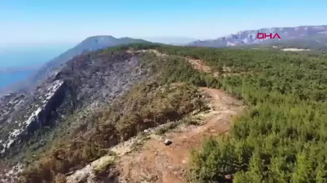 Muğla'daki Orman Yangınlarına Büyükşehir Belediyesi Müdahale Etti