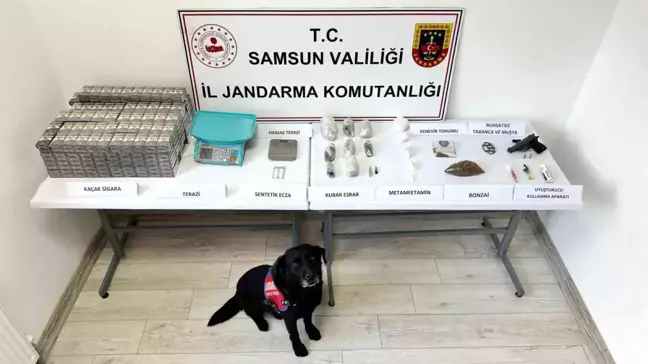 Samsun'da Jandarmadan Uyuşturucu Operasyonu: İki Gözaltı