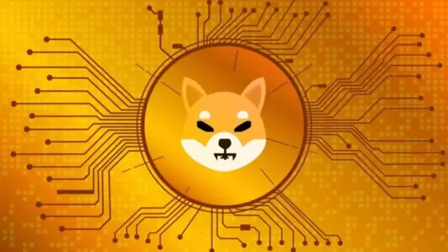 Shiba Inu (SHIB) Airdrop ne zaman, şartları neler? SHIP Airdrop artırma yöntemleri