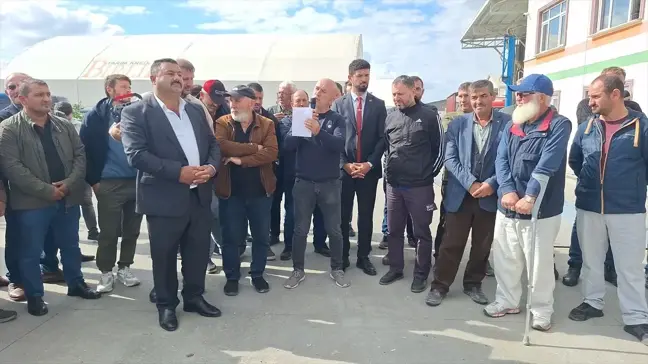 Bafra'da Çeltik Üreticilerinden Fiyat Düşüşüne Tepki