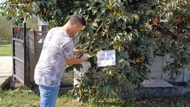 Düzce'de Genç Çiftçiden Örnek Davranış: 'Canı İsteyen Hurma Alabilir'