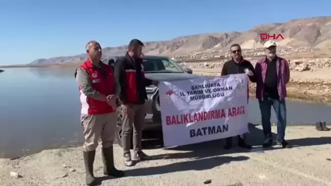 Hasankeyf'te 1 Milyon Yavru Şabut Balığı Salındı