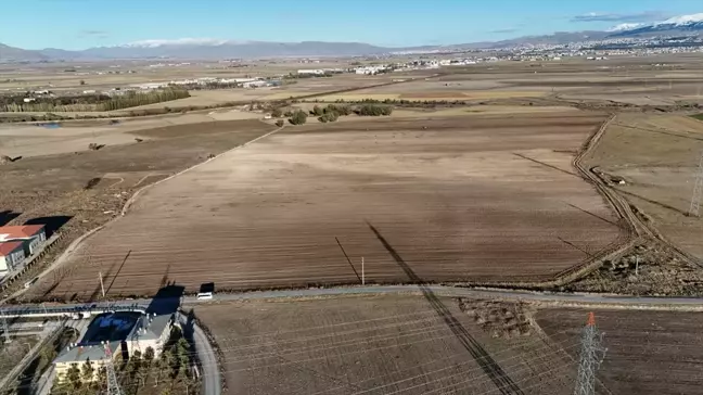 Erzurum'da İmece Usulü Buğday Ekimi Başladı