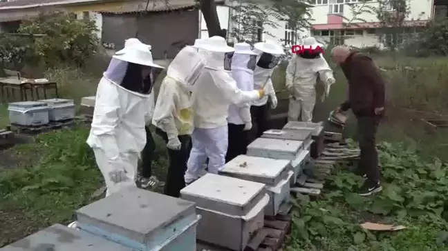 Samsun'da Öğrenciler Arıcılık Dersi ile İlk Hasadı Yaptı