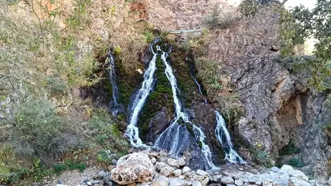 9 Yaşındaki Musa, Eşeğiyle Misafirleri Gezdirerek Harçlığını Çıkartıyor