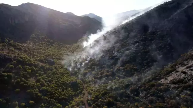 Adıyaman'da Orman Yangını Söndürme Çalışmaları Devam Ediyor