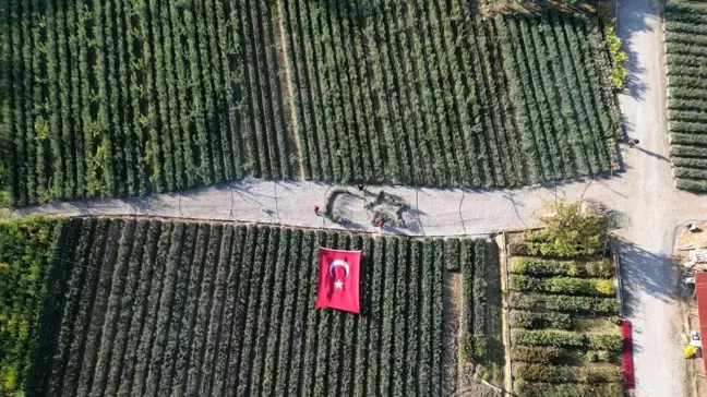 İznik'te Zeytin Bahçesinde Türk Bayrağı İle Cumhuriyet Kutlaması