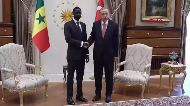 ANKARA-Cumhurbaşkanı Recep Tayyip Erdoğan, Senegal Cumhurbaşkanı Bassirou Diomaye Diakhar Faye ile ikili görüştü