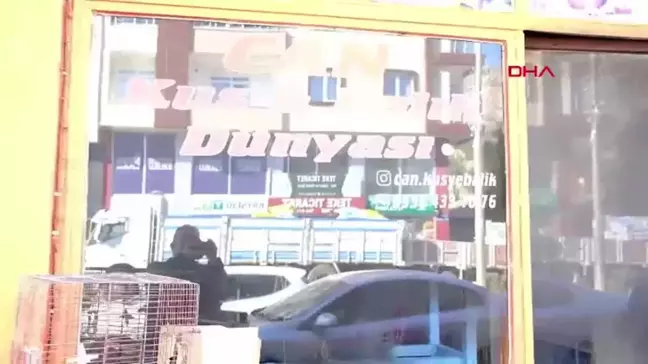 Kayseri'de Pet Shopta Yangın: İş Yeri Sahibi Yaralandı