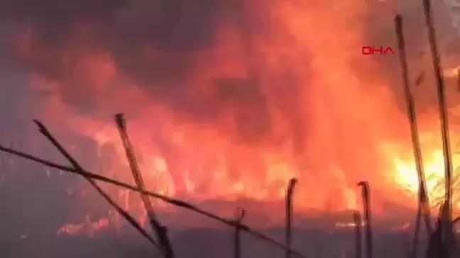 Eber Gölü'nde çıkan yangın havadan ve karadan söndürüldü