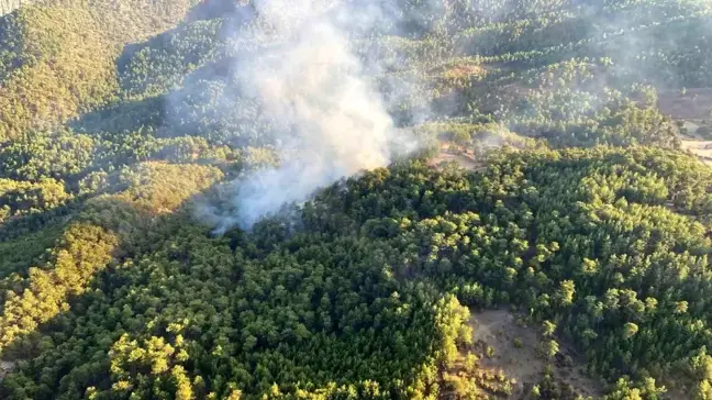 Muğla'da Orman Yangını Kontrol Altına Alındı