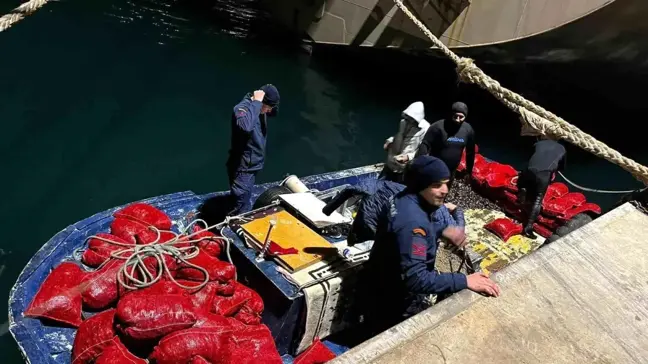 Yalova açıklarında kaçak midye avcılarına baskın: 20 ton midye ele geçirildi