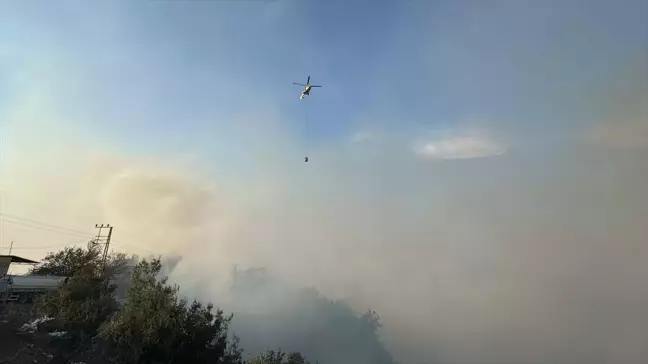 Hatay'da Orman Yangını Kontrol Altına Alınmaya Çalışılıyor