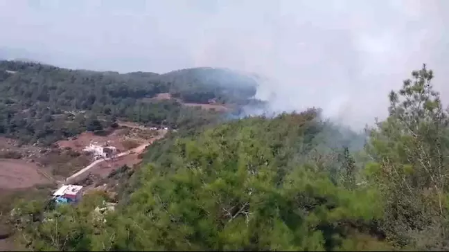 Hatay'da Orman Yangınına Müdahale Başladı