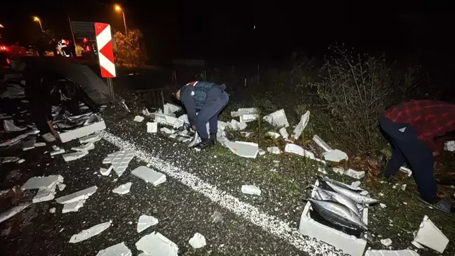 Bartın-Karabük Yolunda Balık Yükü Taşıyan TIR'ın Yola Düşen Kası 300 Kasa Palamut Trafiği Kapatıldı