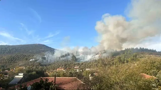 Muğla'da Orman Yangınına Hava Desteği