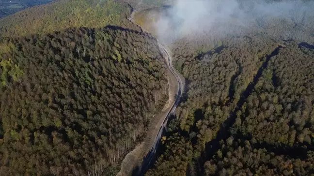 Kastamonu Ormanları Sonbahar ile Renkleniyor