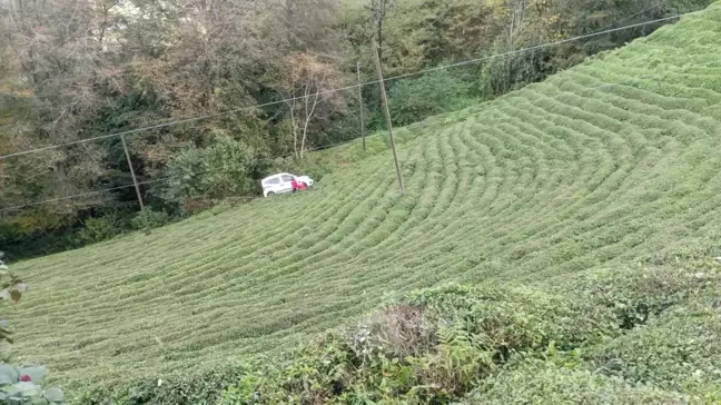 Rize'de Hafif Ticari Araç Çay Bahçesine Yuvarlandı