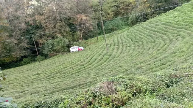 Rize'de Ticari Araç Çay Bahçesine Yuvarlandı