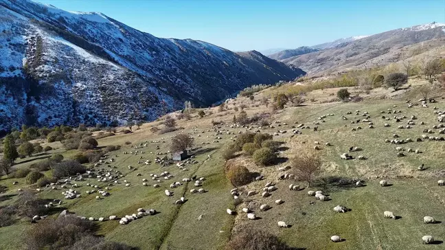 Göçerler Soğuk Hava ile Dönüşe Geçti