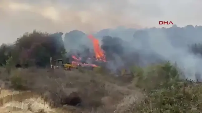 Çanakkale Biga'da Orman Yangınına Hızla Müdahale Ediliyor