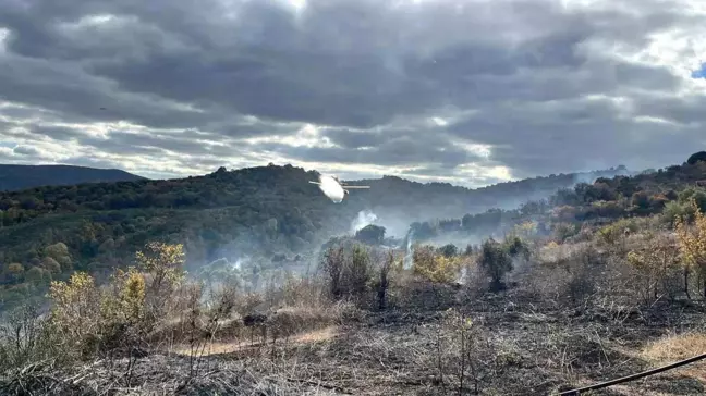 Çanakkale Biga'da Yangın Kontrol Altına Alındı