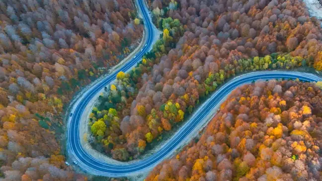 Sonbahar Renkleriyle Kıvrımlı Yollar Görsel Şölen Sunuyor