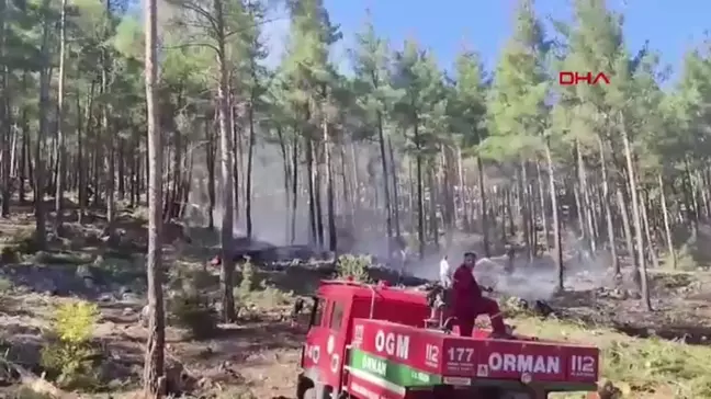 Bucak'ta Orman Yangını Kontrol Altına Alındı