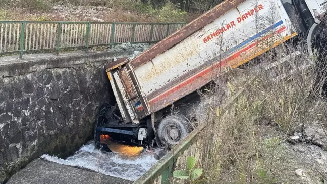 Rize'de Yokuşta Kayan Kamyon Dereye Devrildi