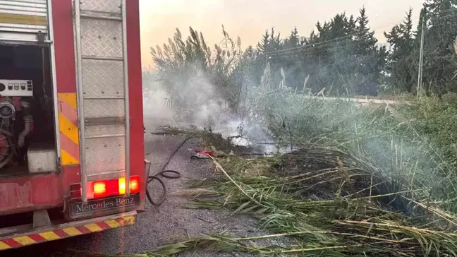 Hatay'da Dere Yatağında Yangın Çıktı