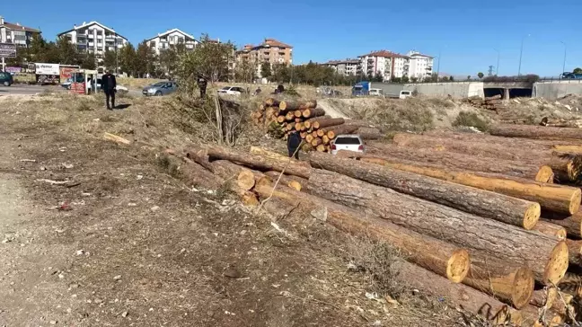 Isparta'da Otomobilin Virajı Alamayıp Düşmesi Sonucu 2 Yaralı