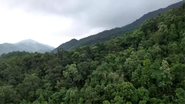 Çin'de Ulusal Parkların Yüksek Kalitede İnşası İçin Uluslararası Sempozyum Düzenlendi