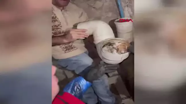 Isparta'da Yavru Kedi Tuvalet Gider Borusundan Kurtarıldı