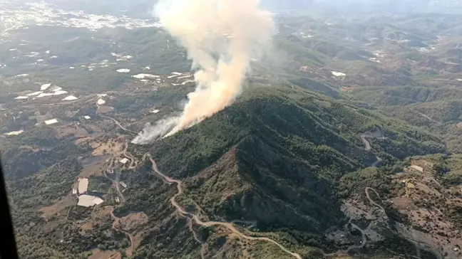 Antalya'nın Kumluca İlçesinde Orman Yangını