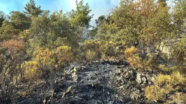 Antalya'da Orman Yangını Kısmen Kontrol Altına Alındı