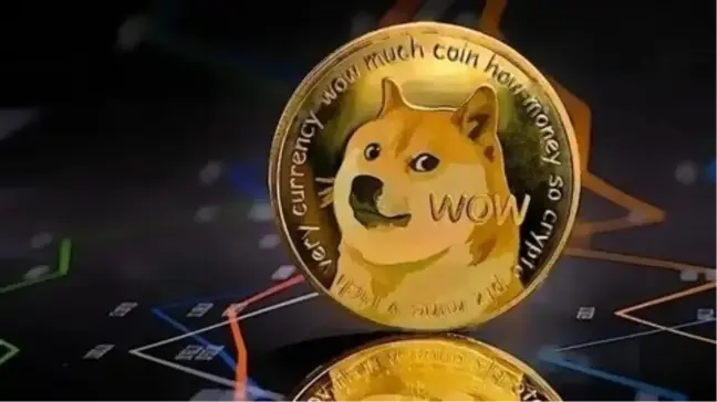 Aradaki fark dudak uçuklattı! 2013'te 100 dolarlık Dogecoin alsaydınız bugün ne kadar paranız olurdu?