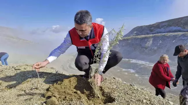 Erzurum'da Tuz Çalısı Yetiştiriciliğine İlk Adım