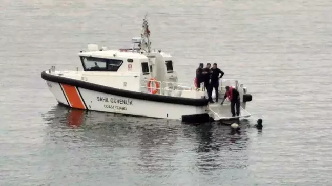 Amasra'da Denizde Bulunan Hayvan Leşi Karaya Çıkarıldı