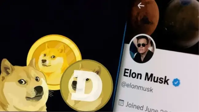 Elon Musk'a açılan 258 milyar dolarlık Dogecoin davasında karar açıklandı