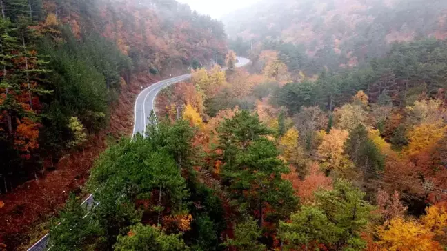 Kazdağları'nda Sonbahar Renk Cümbüşü