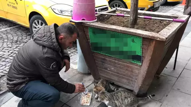 Bayburt'taki Taksici Hayvanların Rızkını Paylaşıyor