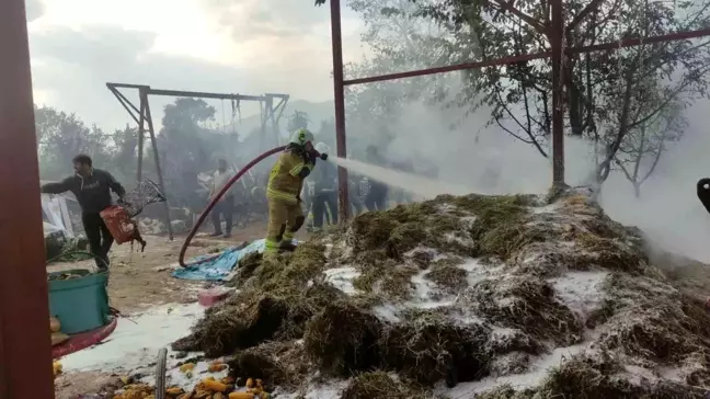 Bursa'da Saman Yığını Yangını Kontrol Altına Alındı