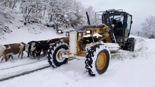 Amasya'da Kar Yağışı 107 Köy Yolunu Kapatmış Durumda