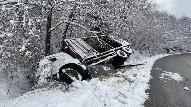 Bolu'daki Kar Yağışı Tavuk Yüklü Kamyonu Devrildi