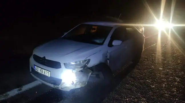 Kütahya'da Yola Fırlayan Domuz Trafik Kazasına Yol Açtı