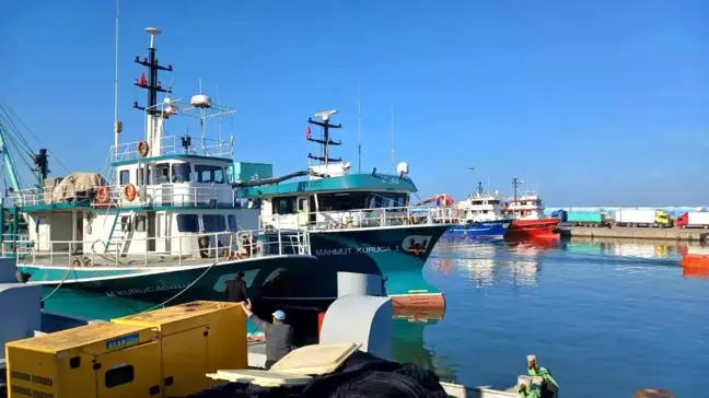 Akçakoca Balıkçı Barınağı'nda Gırgır Tekneleri Esnafa Can Suğu Oldu