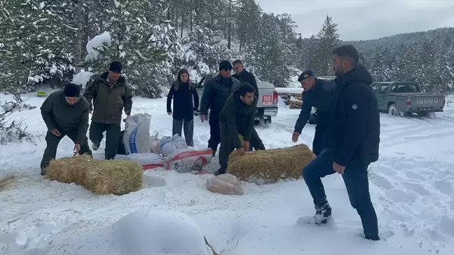 Çankırı'da Yabani Hayvanlar İçin Yem Bırakıldı